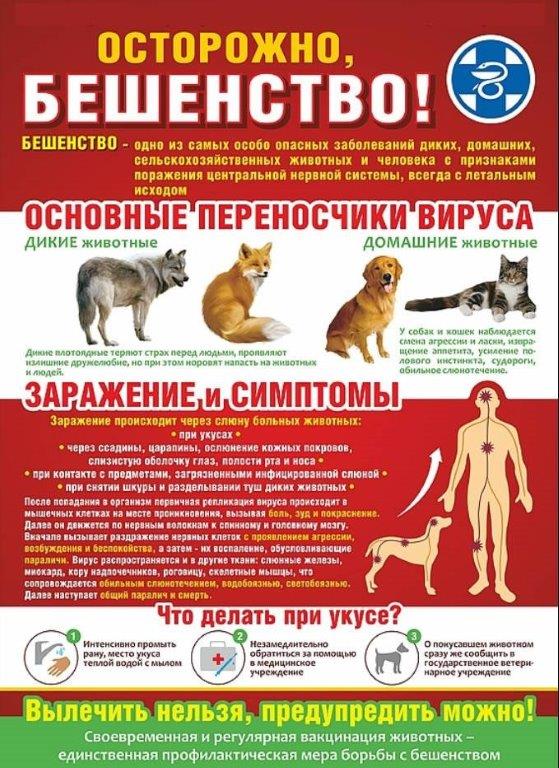 foto 27 08 2021 16 07 1