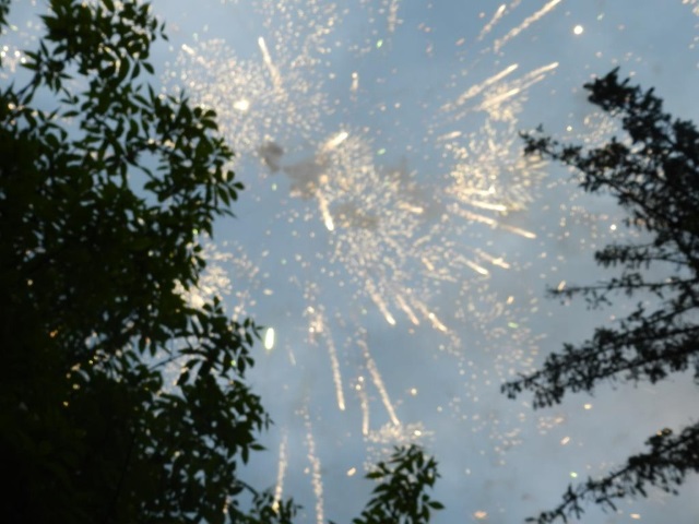 DSCN8873