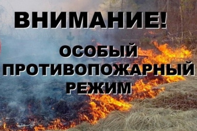 foto 11 05 2022 16 10