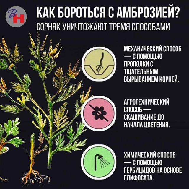 foto 2024 06 24 15 59 001