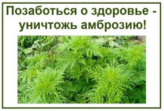 foto 2024 06 24 15 59 002