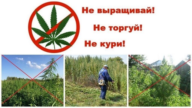 foto 2024 06 24 16 04 001