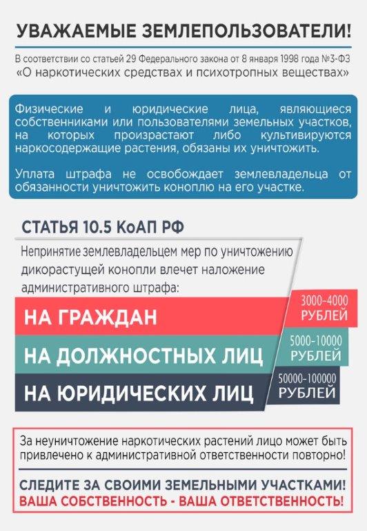 foto 2024 06 24 16 04 002