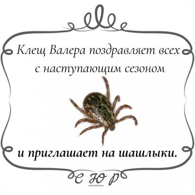 foto 2024 07 05 15 15 001